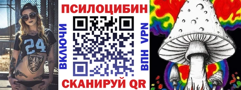 Купить  Тамбов  Галлюциногенные грибы Magic Shrooms 